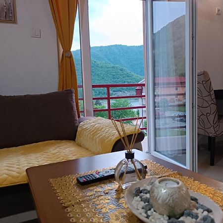 Apartmani Lena Pluzine Exterior photo