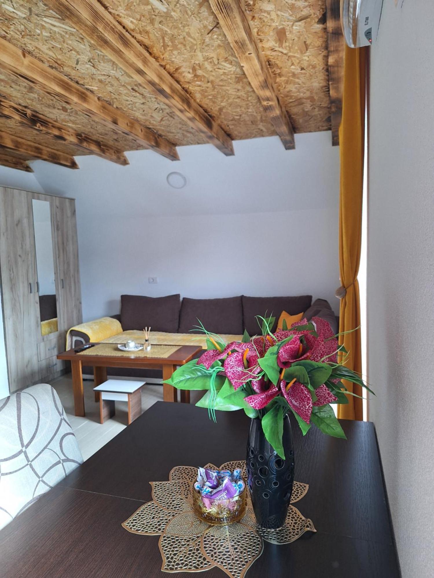 Apartmani Lena Pluzine Exterior photo